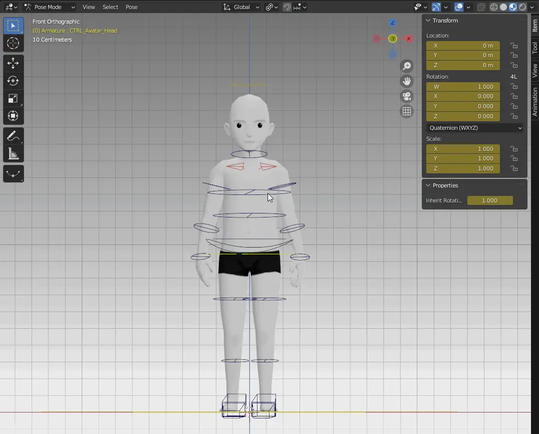 How the IsoRot attribute for the head works.
